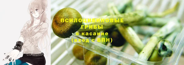 МДПВ Алзамай