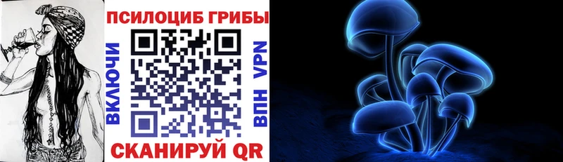 Галлюциногенные грибы Psilocybine cubensis  гидра онион  Сельцо 